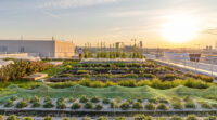 Parisculteurs, dix ans d’existence et 24 hectares cultivés